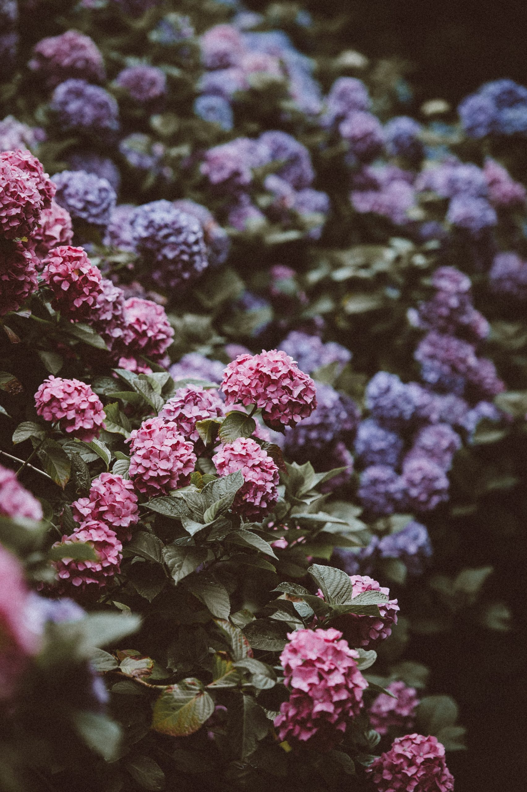 Two Poems