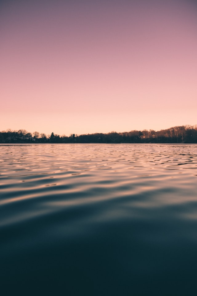 The Cabin By The Water