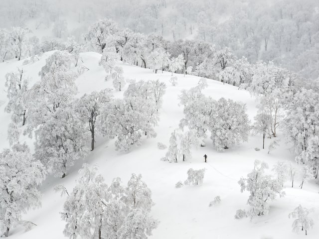 A Tryst in Winter