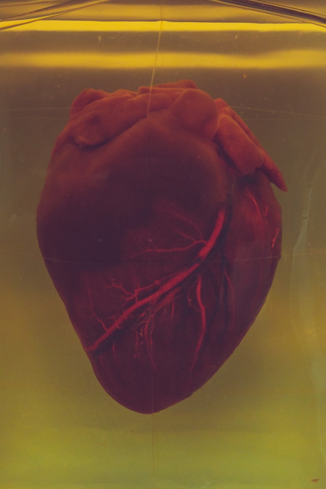 Two Poems