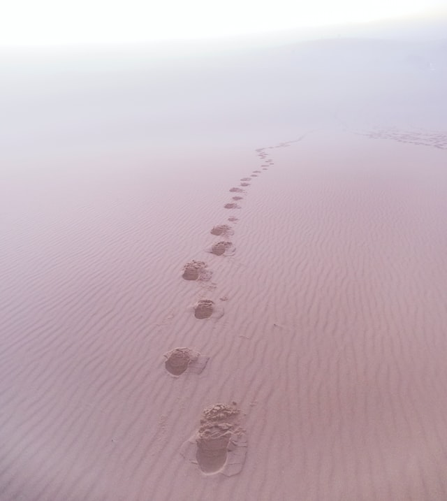 I Will Follow The Footprints
