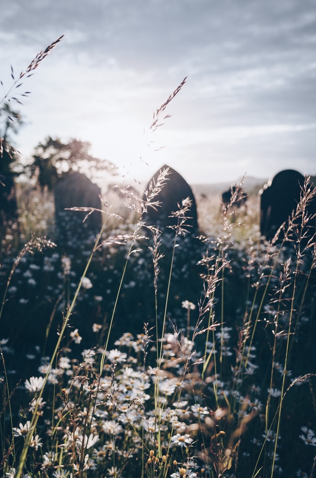 Love in a Cemetery