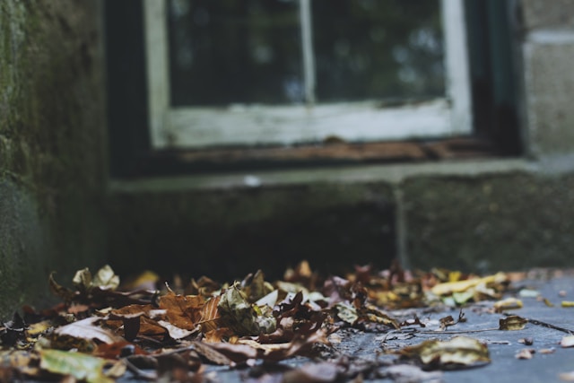 The Goddess of Leaves Turning, Torn, Fallen