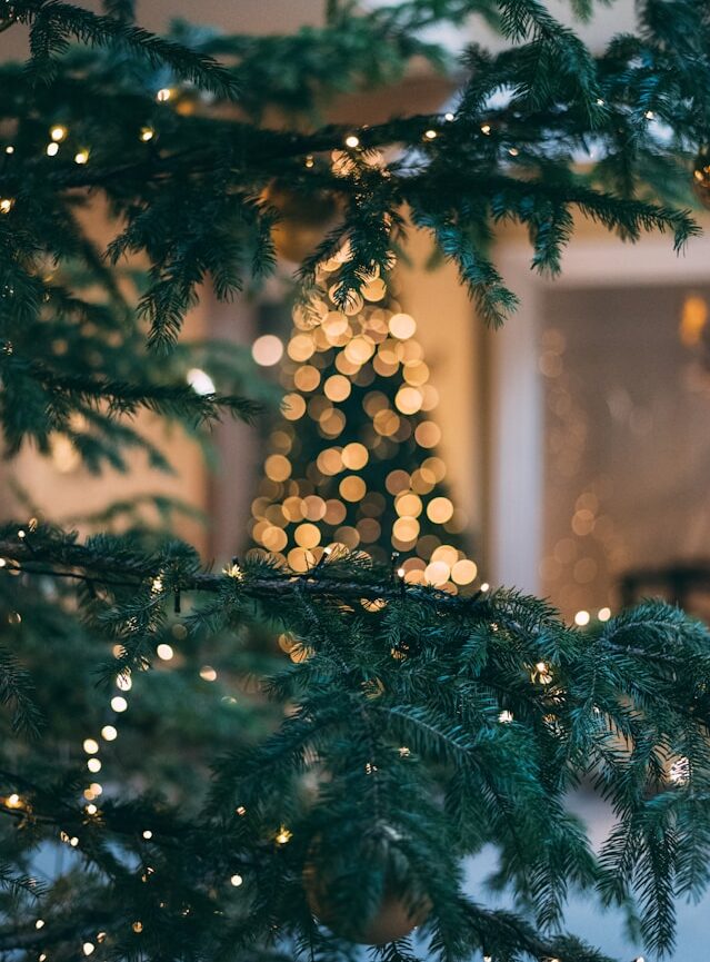 Gift Wrapped
