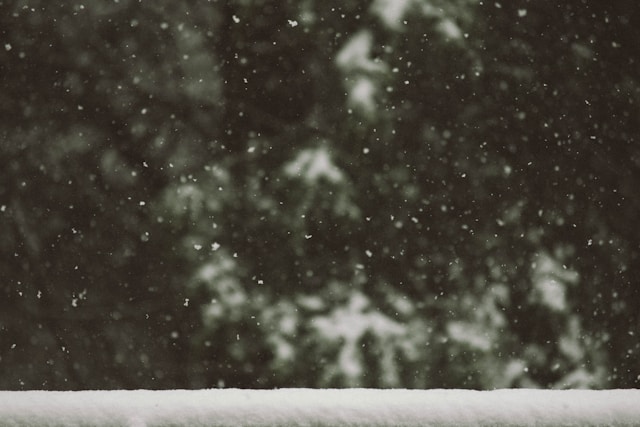 Forgotten Christmas