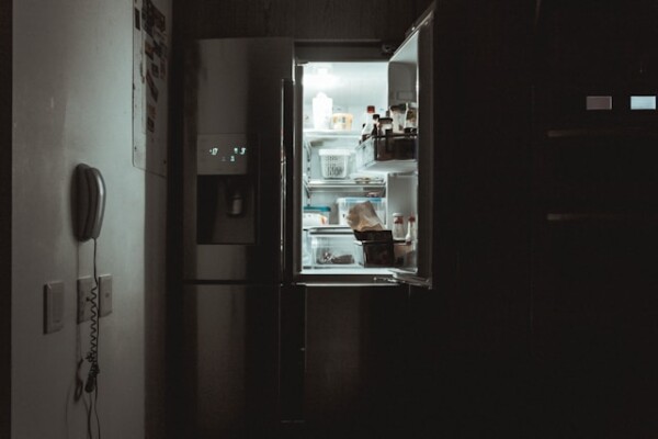 My Refrigerator Broke Up With Me Because I’m a Vegetarian